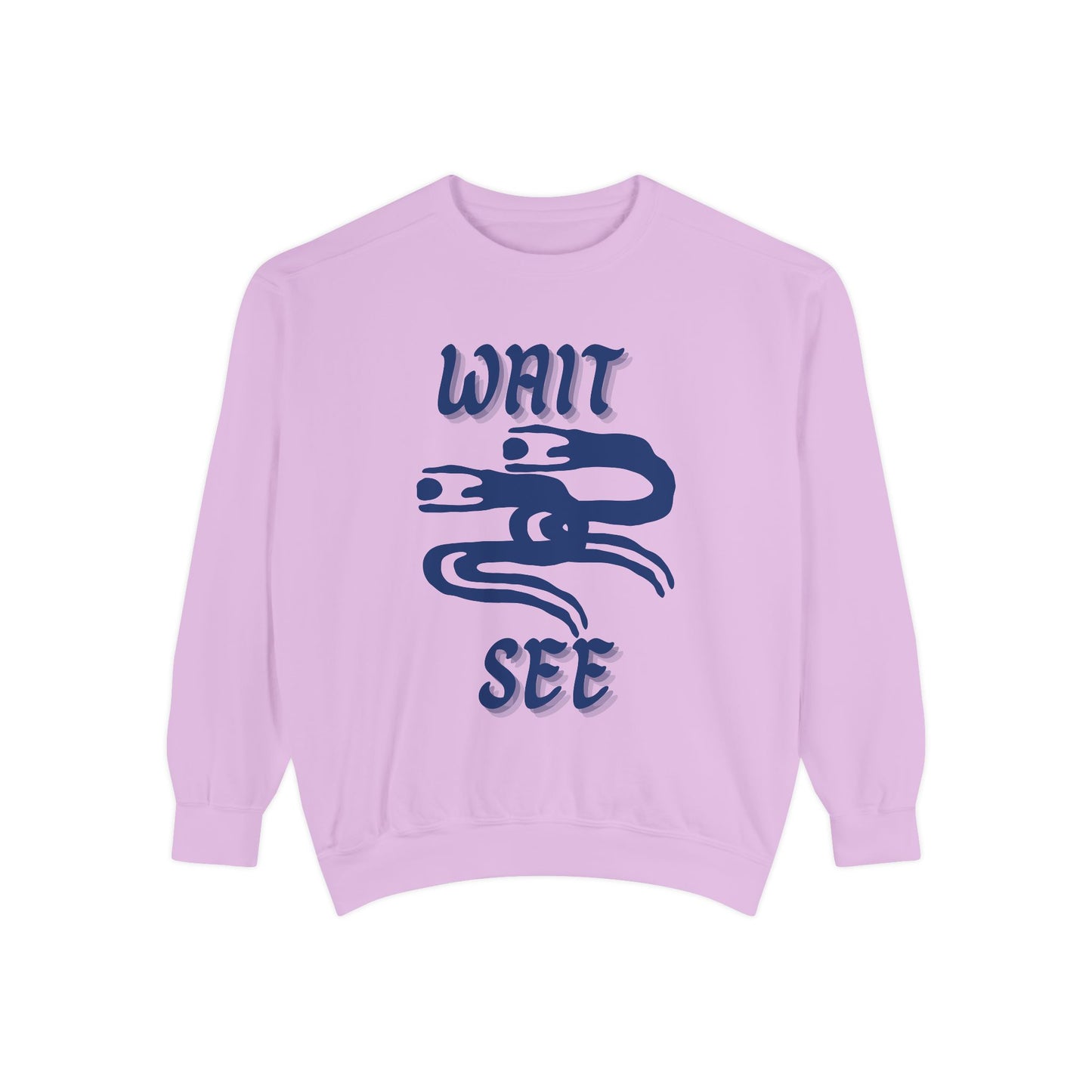 Garment-Dyed Sweatshirt - 'Wait and See' Design
