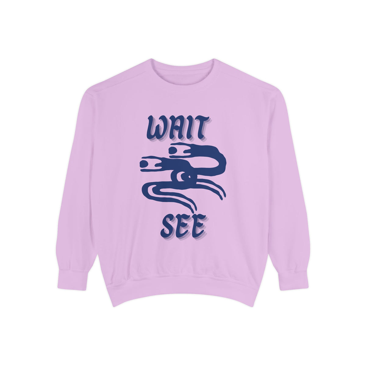Garment-Dyed Sweatshirt - 'Wait and See' Design