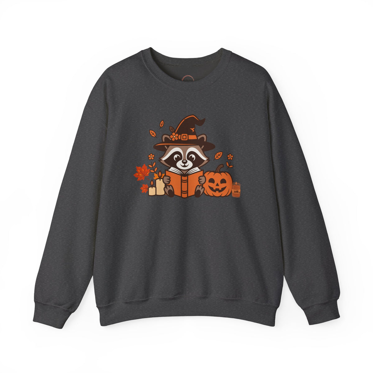 Halloween Raccoon Witch Sweatshirt – Cute Pumpkin & Spooky Book Crewneck