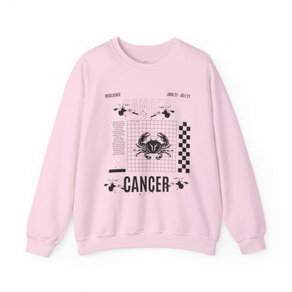 Cancer Zodiac Sweatshirt, Horoscope Unisex Jumper, Astrology Sign Clothing,