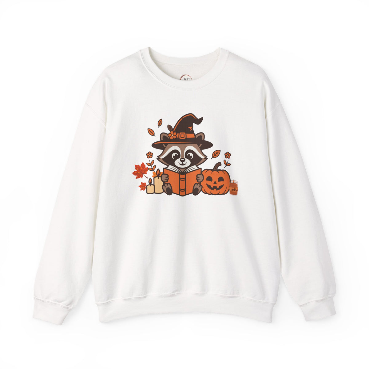 Halloween Raccoon Witch Sweatshirt – Cute Pumpkin & Spooky Book Crewneck