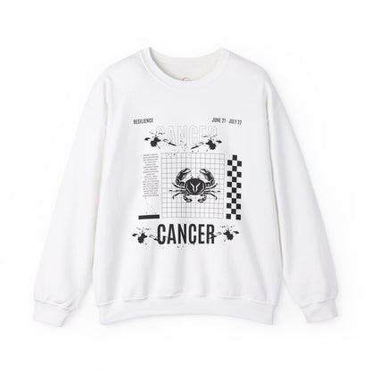 Cancer Zodiac Sweatshirt, Horoscope Unisex Jumper, Astrology Sign Clothing,
