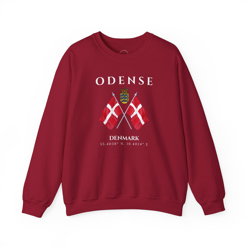 Odense Sweatshirt, Unisex Sweater, Scandinavian, Denmark, gift, Nordic Style, Odense Denmark,