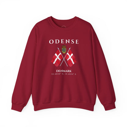 Odense Sweatshirt, Unisex Sweater, Scandinavian, Denmark, gift, Nordic Style, Odense Denmark,