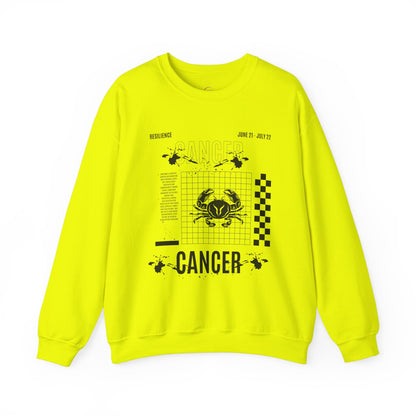 Cancer Zodiac Sweatshirt, Horoscope Unisex Jumper, Astrology Sign Clothing,