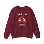Odense Sweatshirt, Unisex Sweater, Scandinavian, Denmark, gift, Nordic Style, Odense Denmark,