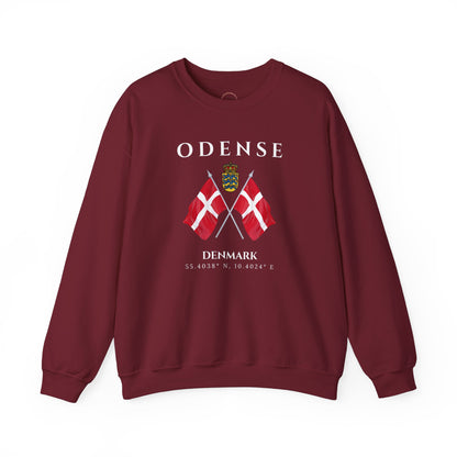 Odense Sweatshirt, Unisex Sweater, Scandinavian, Denmark, gift, Nordic Style, Odense Denmark,