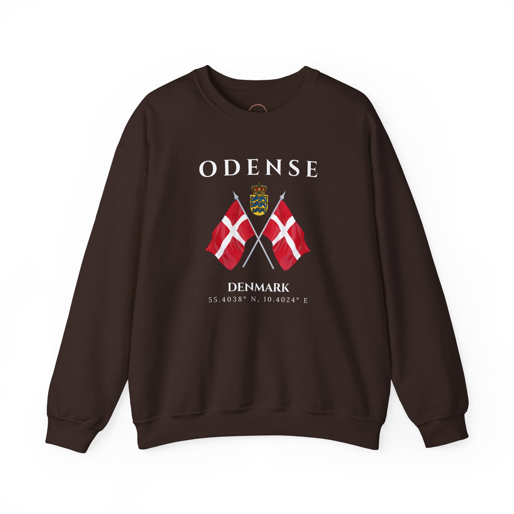 Odense Sweatshirt, Unisex Sweater, Scandinavian, Denmark, gift, Nordic Style, Odense Denmark,