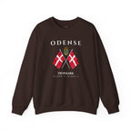 Odense Sweatshirt, Unisex Sweater, Scandinavian, Denmark, gift, Nordic Style, Odense Denmark,
