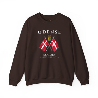 Odense Sweatshirt, Unisex Sweater, Scandinavian, Denmark, gift, Nordic Style, Odense Denmark,