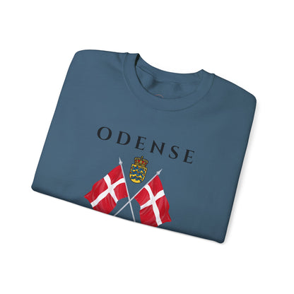 Odense Sweatshirt, Unisex Sweater, Scandinavian, Denmark, gift, Nordic Style, Odense Denmark,