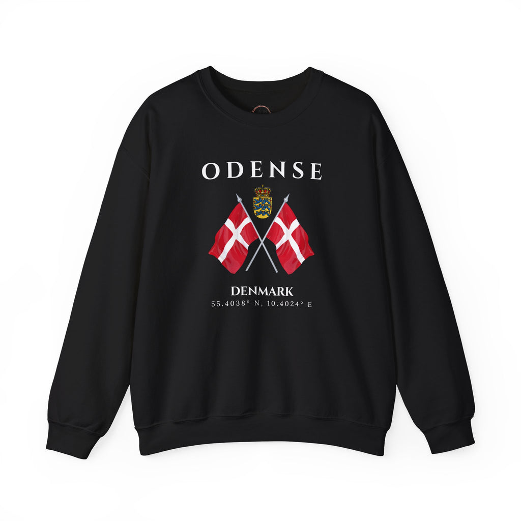 Odense Sweatshirt, Unisex Sweater, Scandinavian, Denmark, gift, Nordic Style, Odense Denmark,