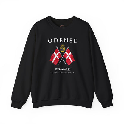 Odense Sweatshirt, Unisex Sweater, Scandinavian, Denmark, gift, Nordic Style, Odense Denmark,