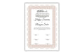 Luxury Nikkah Certificate Template| Personalised Custom Nikkah Nama Digital | Premium Islamic Wedding Contract Gift. NN 123