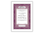 Luxury Nikkah Contract, Digital Printable Personalised Customised Nikkah Certificate, Custom Nikah Nama, Islamic Wedding Contract. NN168