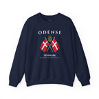 Odense Sweatshirt, Unisex Sweater, Scandinavian, Denmark, gift, Nordic Style, Odense Denmark,