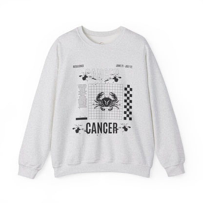 Cancer Zodiac Sweatshirt, Horoscope Unisex Jumper, Astrology Sign Clothing,