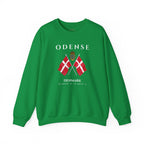Odense Sweatshirt, Unisex Sweater, Scandinavian, Denmark, gift, Nordic Style, Odense Denmark,