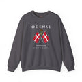 Odense Sweatshirt, Unisex Sweater, Scandinavian, Denmark, gift, Nordic Style, Odense Denmark,