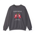 Odense Sweatshirt, Unisex Sweater, Scandinavian, Denmark, gift, Nordic Style, Odense Denmark,