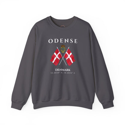 Odense Sweatshirt, Unisex Sweater, Scandinavian, Denmark, gift, Nordic Style, Odense Denmark,