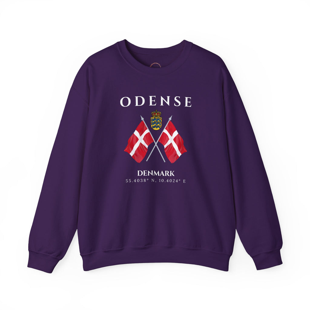 Odense Sweatshirt, Unisex Sweater, Scandinavian, Denmark, gift, Nordic Style, Odense Denmark,