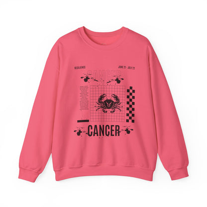 Cancer Zodiac Sweatshirt, Horoscope Unisex Jumper, Astrology Sign Clothing,