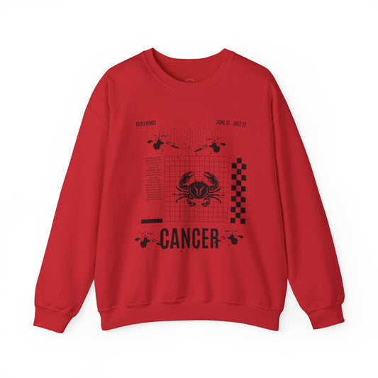 Cancer Zodiac Sweatshirt, Horoscope Unisex Jumper, Astrology Sign Clothing,