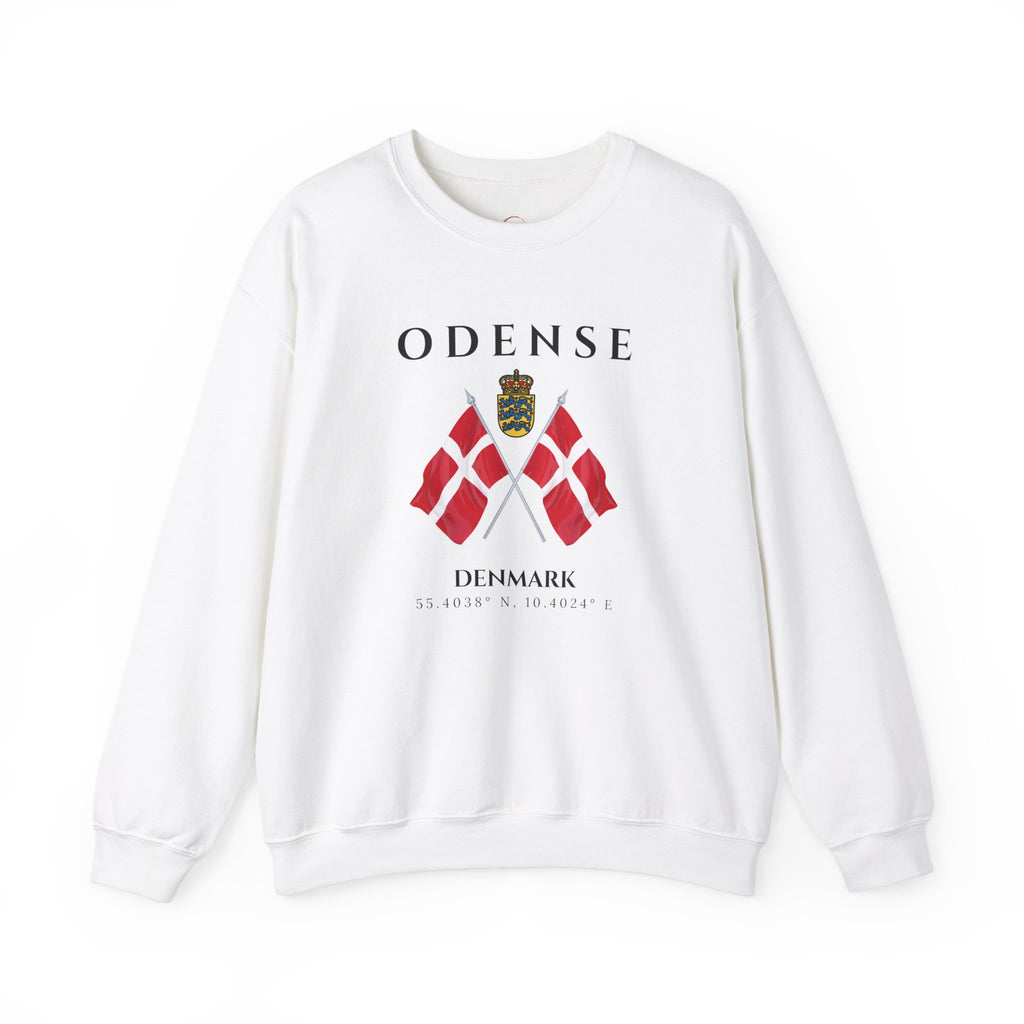 Odense Sweatshirt, Unisex Sweater, Scandinavian, Denmark, gift, Nordic Style, Odense Denmark,