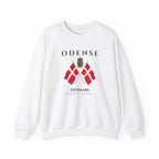 Odense Sweatshirt, Unisex Sweater, Scandinavian, Denmark, gift, Nordic Style, Odense Denmark,