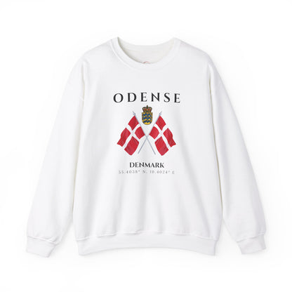 Odense Sweatshirt, Unisex Sweater, Scandinavian, Denmark, gift, Nordic Style, Odense Denmark,