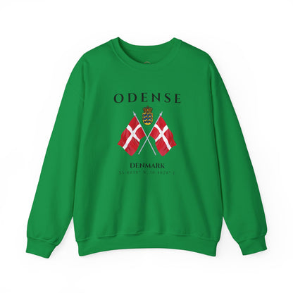 Odense Sweatshirt, Unisex Sweater, Scandinavian, Denmark, gift, Nordic Style, Odense Denmark,