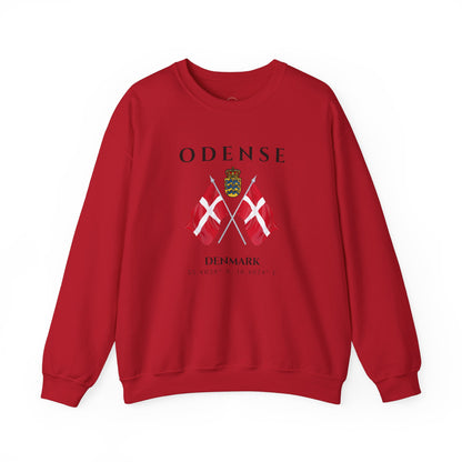 Odense Sweatshirt, Unisex Sweater, Scandinavian, Denmark, gift, Nordic Style, Odense Denmark,