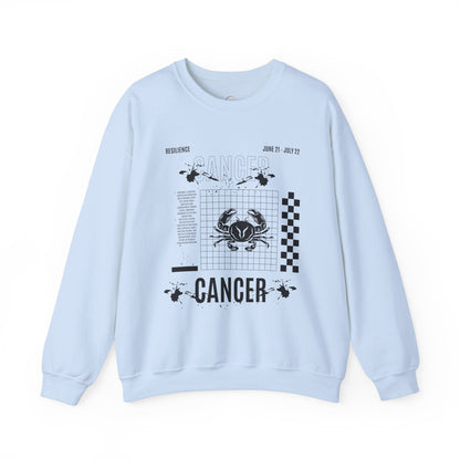 Cancer Zodiac Sweatshirt, Horoscope Unisex Jumper, Astrology Sign Clothing,