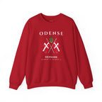 Odense Sweatshirt, Unisex Sweater, Scandinavian, Denmark, gift, Nordic Style, Odense Denmark,