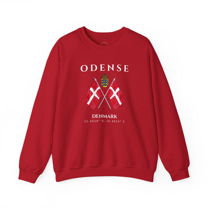 Odense Sweatshirt, Unisex Sweater, Scandinavian, Denmark, gift, Nordic Style, Odense Denmark,