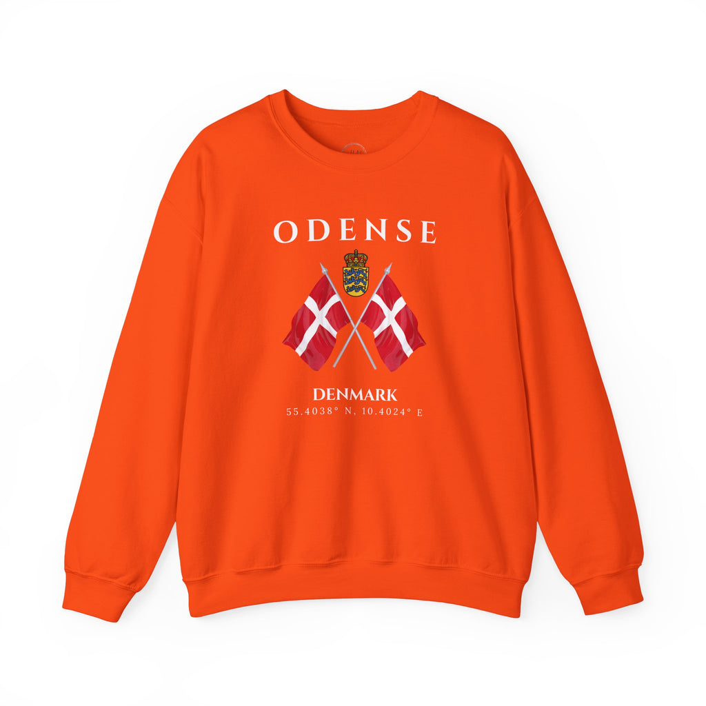 Odense Sweatshirt, Unisex Sweater, Scandinavian, Denmark, gift, Nordic Style, Odense Denmark,