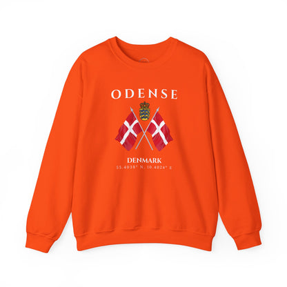 Odense Sweatshirt, Unisex Sweater, Scandinavian, Denmark, gift, Nordic Style, Odense Denmark,