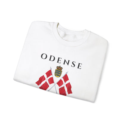 Odense Sweatshirt, Unisex Sweater, Scandinavian, Denmark, gift, Nordic Style, Odense Denmark,